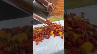 VietCajun Crawfish Boil recipe [upl. by Akinohs]