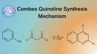 Combes Quinoline Synthesis Mechanism  Organic Chemistry [upl. by Nnairet]