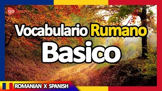 Aprender Rumano  Vocabulario Rumano basico  Golearn [upl. by Shandeigh843]