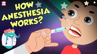 How Does Anesthesia Work  Types Of Anesthesia  Dr Binocs Show  Peekaboo Kidz [upl. by Notsej]