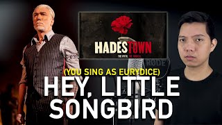 Hey Little Songbird Hades Part Only  Karaoke  Hadestown [upl. by Sregor]