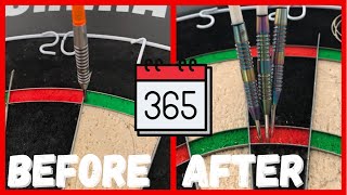 I Trained Like A Pro Dart Player For 365 Days [upl. by Eigram594]