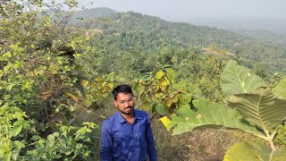 Field visit forest nature Chandrashekhar azad nagar Range mp🌿🌳🌱☘️😍 [upl. by Blount591]