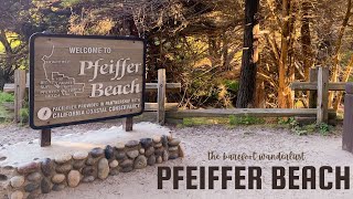 Hiking to Pfeiffer beach in Big Sur California [upl. by Ailemor]