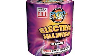 Electric Jellyfish 10 shot  Pyro Planet Fireworks [upl. by Arbrab]