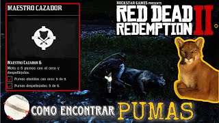 ¿Donde cazar PUMAS en Red Dead Redemption 2 Maestro Cazador 6 [upl. by Pip]