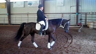 Gaited Dressage Demonstration [upl. by Ecirual]