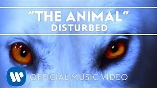 Disturbed  The Animal Official Music Video [upl. by Lolita144]