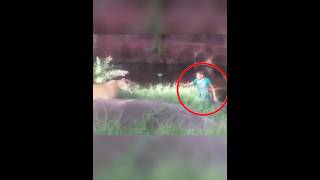 Unbelievable Man Jumps Into Lion Cage 😯 shorts [upl. by Holey144]