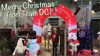 Pony Christmas Grotto 🎅🏻  🐴 Team DC Ponies 🐴  Showjumping Vlogmas [upl. by Nwahsear836]