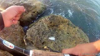 antalya levrek ve lüfer avı bluefish and sea bass fish hunt13072018 [upl. by Mychal871]