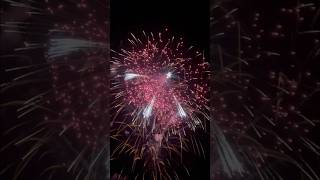 STUTATA CON CROCE DI MALTA 💥 SENATORE FIREWORKS ADELFIA SAN TRIFONE 2023 fireworks adelfia fire [upl. by Nnyl190]