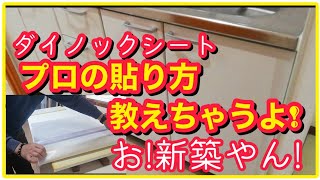 流し扉にダイノックシートを貼る😀完全攻略👌下処理から貼り方までプロが詳しく解説します✴️簡単DIY [upl. by Kurtzig994]