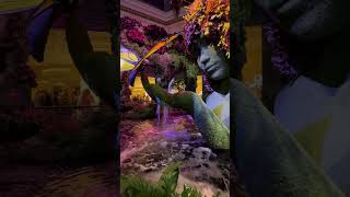 Bellagio Hotel amp Casino vegus casino nightlife greens peaceful [upl. by Apicella747]