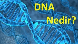 DNA ve Genetik Mühendisliğin Geleceği [upl. by Janna]