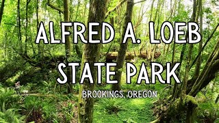 Slimy Slugs and Odd Finds at Loeb State Park  PNW Exploration 2023 [upl. by Aisayt]