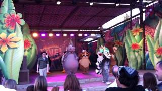 I like to move it Madagascar Live at Chessington London [upl. by Rehposirhc942]