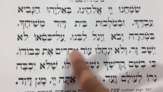 Haftarah Blessings ברכות ההפטרה [upl. by Noyar422]