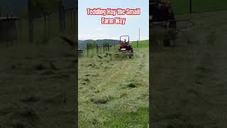 Tedding Hay the Small Farm Way [upl. by Winsor]