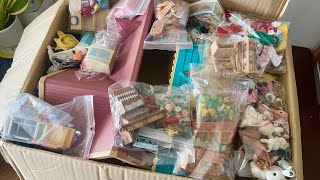 Unboxing Sylvanian Families haul 📦 ASMR [upl. by Aggi]