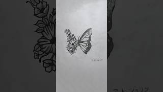 How to Draw Butterflies and Flowers  Creative Pencil Sketch ShortsIsmatAraArtGallery [upl. by Beryle977]