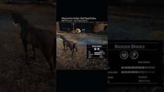 RDR2 • All Missouri Fox Trotter Horse Colors and Locations • Red Dead Redemption 2 [upl. by Nikolos]