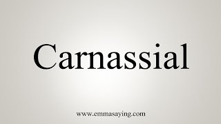 How To Say Carnassial [upl. by Sands135]