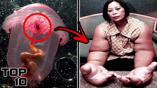 Top 10 Deadliest Substances Underwater You SHOULDNT Touch [upl. by Lyontine251]