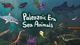 Paleozoic Sea Animals  What kind of sea animals lived in Paleozoic Era  Kids Draw [upl. by Lauer157]