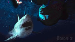 Upside Down Shark Fight  47 Meters Down Uncaged  CLIP [upl. by Dulce736]