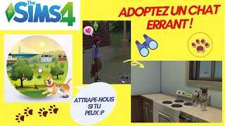 Les sims 4  Adopter un chat errant [upl. by Angelina]