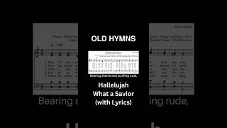 Hallelujah What a Savior hymnlyrics oldhymns hymnsong [upl. by Accber771]