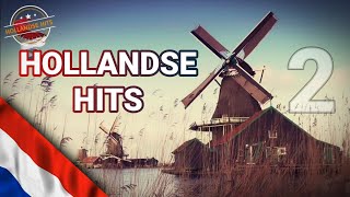 HOLLANDSE HITS  deel 2 [upl. by Eetak]