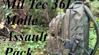 MilTec 36L Molle Assault Pack Review [upl. by Hamburger314]