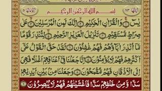 SURAH YASEEN WITH URDU TARJUMA [upl. by Mariano206]