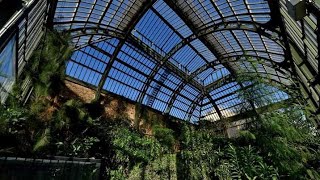 Les Grandes Serres du Jardin des Plantes Paris [upl. by Horick]