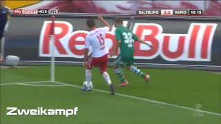 Highlights Franz Schiemer [upl. by Assilim58]