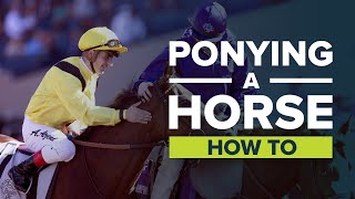 PONYING HOW TO TRAIN A RACEHORSE  What it takes to be an outrider [upl. by Daveen]