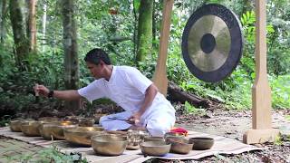 Meditação com tigelas tibetanas e os sons da floresta [upl. by Anemolihp411]