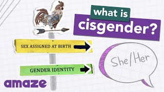 What is Cisgender AskAMAZE [upl. by Lladnyk]