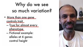 Genetics and Evolution  41 Single Gene Variation [upl. by Llemert]