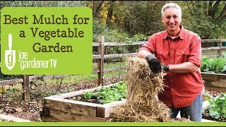 Best Mulch for a Vegetable Garden [upl. by Apollo]