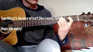 Isnt She Lovely Tom Misch Version  Guitar Tutorial [upl. by Airotnahs]