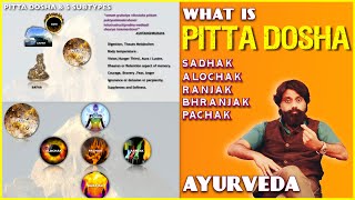 Pitta Dosha Made Simple  Easy Ayurveda Animation [upl. by Alysoun628]