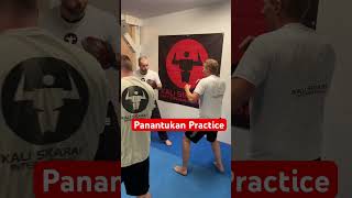 Panantukan Practice The Ultimate SelfDefense Techniques in Martial Arts martialart kali [upl. by Kallman649]