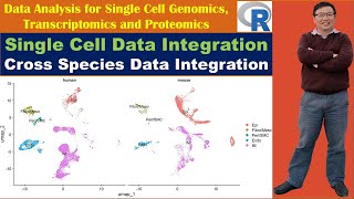 Single Cell Data Integration Cross Species Data Integration [upl. by Nwahc22]