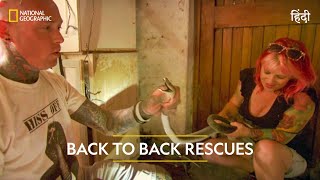 Back To Back Rescues  Snakes in the City  हिन्दी  Full Episode  S3  E1  Nat Geo Wild [upl. by Asalocin]