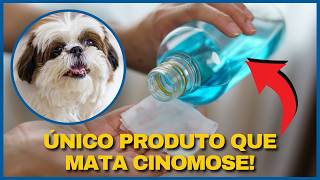 USE EM CASA O ÚNICO PRODUTO QUE ACABA COM VÍRUS BACTÉRIA FUNGOS E PROTOZOÁRIOS [upl. by Mihe]