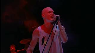 Midnight Oil  Quinella Holiday Capitol Theatre  1982 [upl. by Hedi]