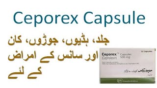 ceporex capsule 500mg uses  ceporex capsule 250mg uses  ceporex capsule benefits and side effects [upl. by Llewellyn]